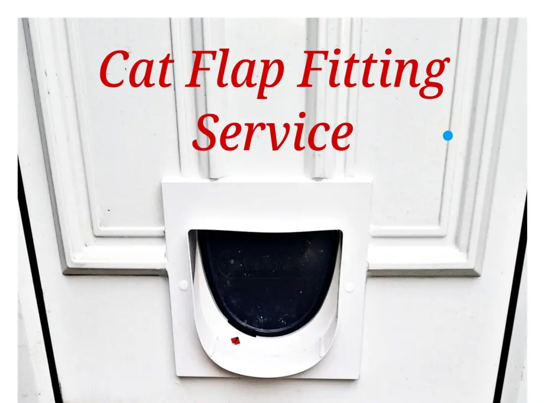 Cat flaps fitted into Doors and glass panels.